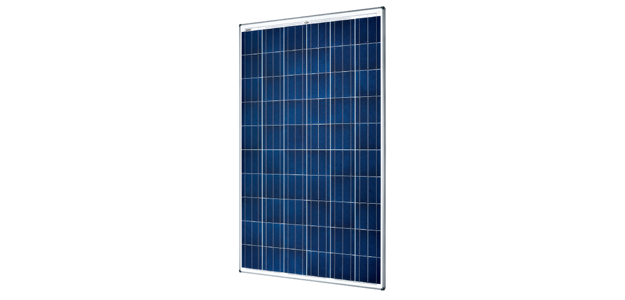 Sunmodule Plus SW 250-260 poly